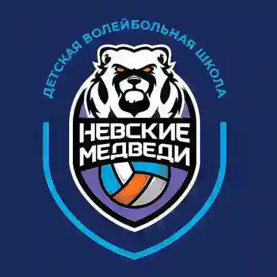 Детская волейбольная школа - Невские медведи
