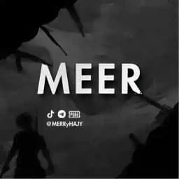 MEER / PUBG MOBILE Profile