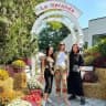 Megamamanapa