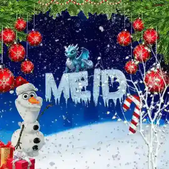 Meid App File
