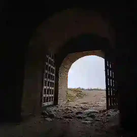 Менестрель 21.0