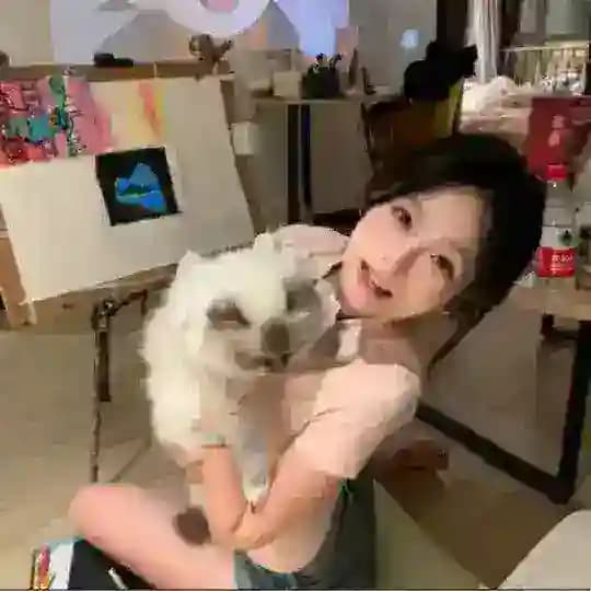 教父root机买卖