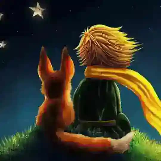 Boa noite,Boa tarde e Bom dia❤️