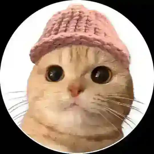 Meowifhat | Solana channel