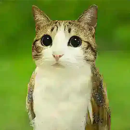 [РАЗМОРОЖЕН]!ПЕРЕХОДНИК! 🥳_"meowl"_🥳(18+)