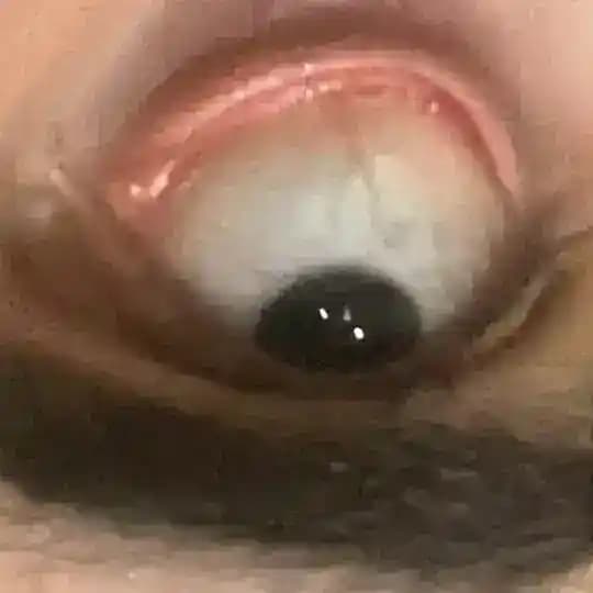 مره