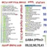 መሪጌታ ስዩም የባህል መዳህኒት ቀማሚ( እውቅ)