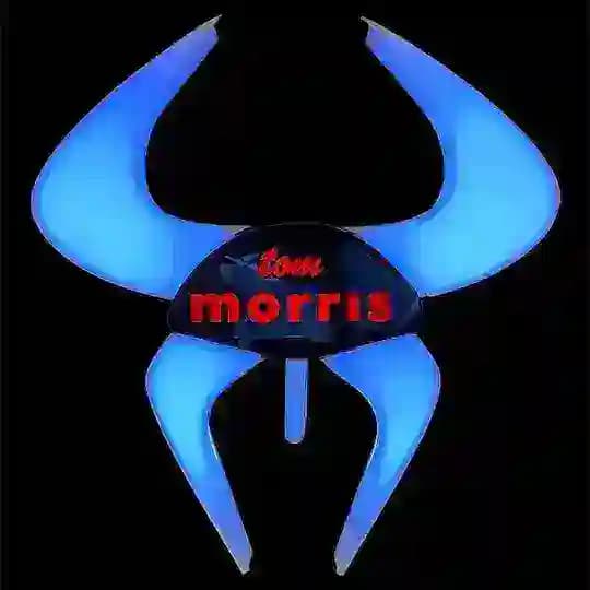 Moris_toptan