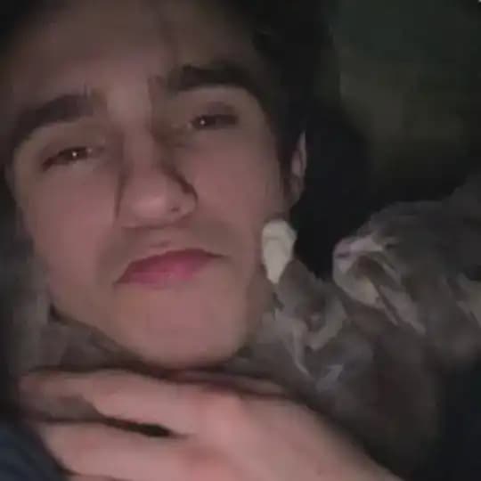Merxlly