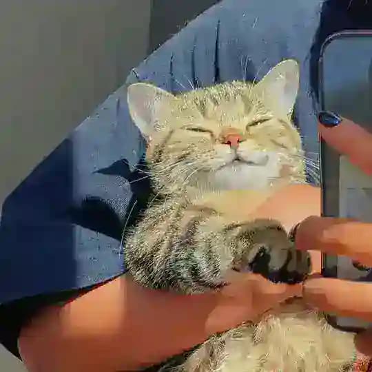 Зай, тебе сообщение…