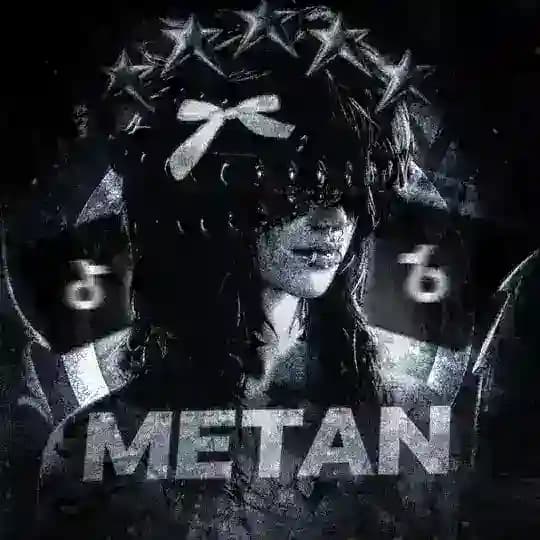 ХаТа MetaNA