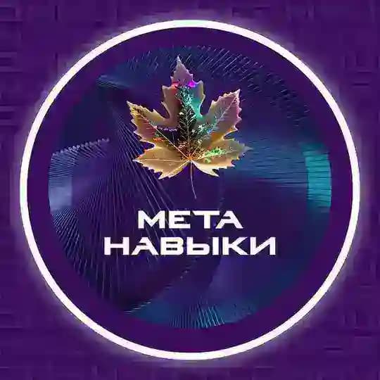 Самореализация через метанавыки