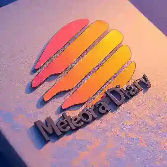 Дневник Метеорщика