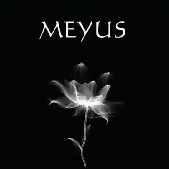 MeYuS