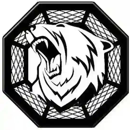 MOSCOW FIGHT TEAM