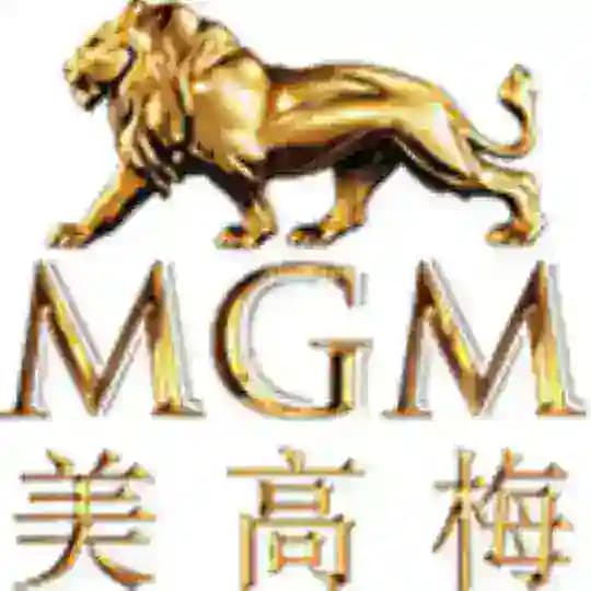 美高梅国际 Profile
