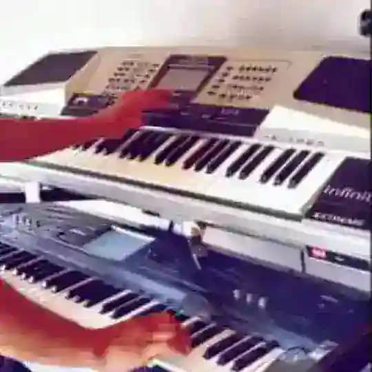سيتات اورج 2023