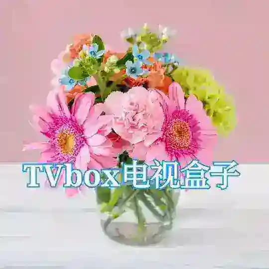Mi5200TV电视直播