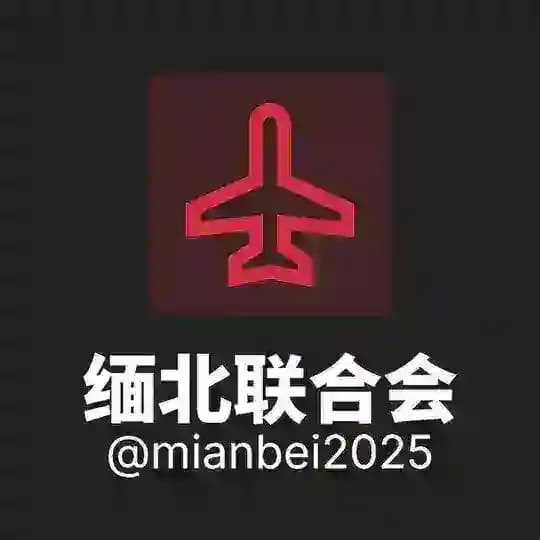 缅北联合会 免费代理 TG代理
