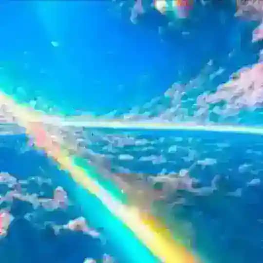 福利视频（永久防丢失群） Profile