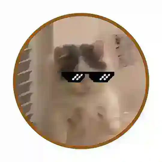 Michi $MICHI Channel