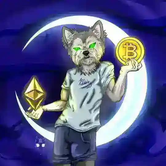 MICKY FOMO | CRYPTO BLOG