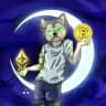 MICKY FOMO | CRYPTO BLOG