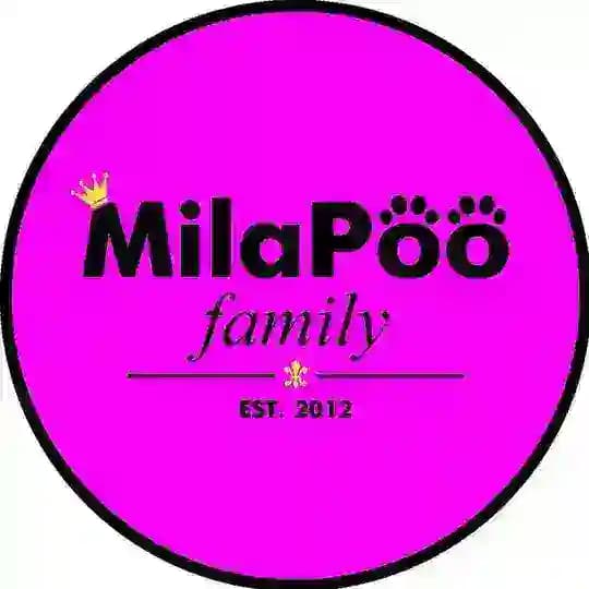 MilaPoo family