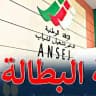 جديد منحة البطالة