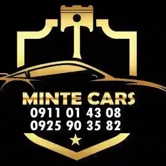 Minte car's