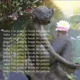 moodboard—miocyu Profile