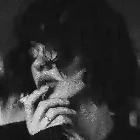 میرالیست ؛ Profile