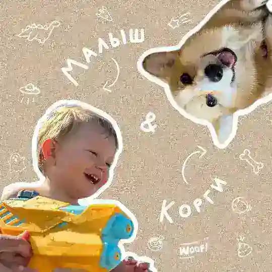 Малыш и корги