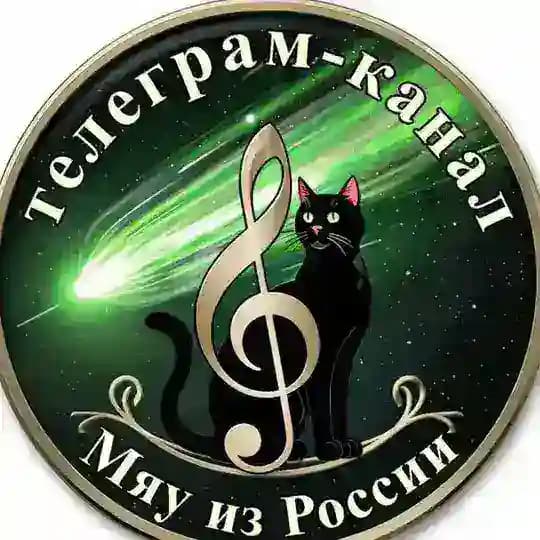 Мяу из России 🇷🇺 🐈⬛️