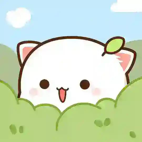 Mitao Cat