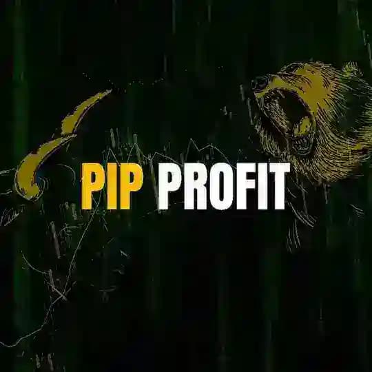 سیگنال فارکس pip profit