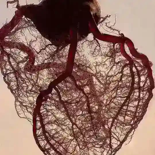mkh