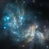 星空小圈选妃安排