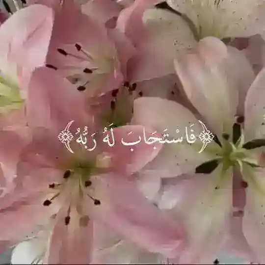 Malak