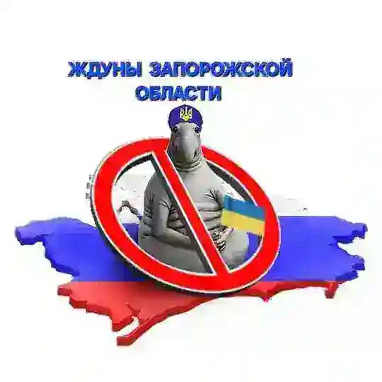 ЖДУНЫ 👤Запорожской области 🇷🇺