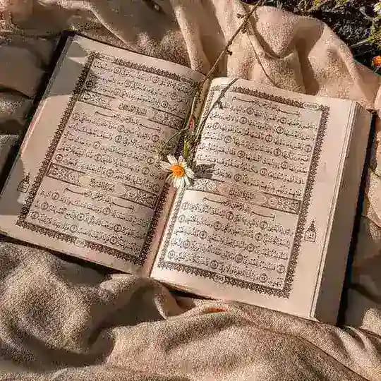 عنواننا ديننا