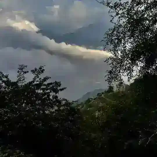 اجر لي ولكم 🤍 Profile