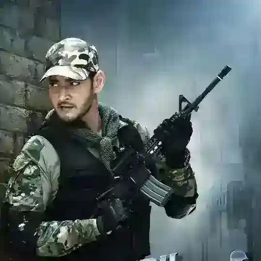 ကုလားကားသစ်များ