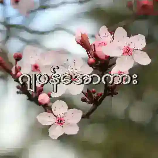 ဂျပန်လူကြီး ဂျပန်အကို ဂျပန်အိုပါးကား