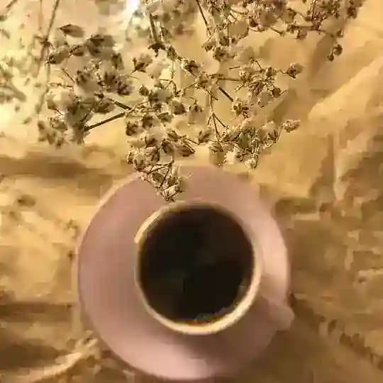 مجرد خوطر وابيات 🌻