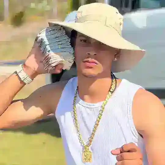 ViNi Metodos $ Profile