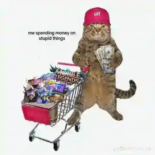 mobaleshop, PINNED