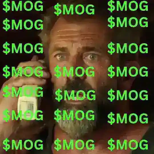 mog coin waiting room