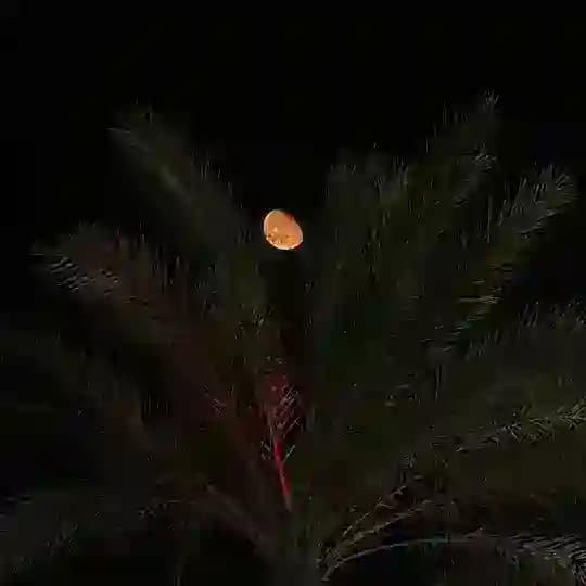 مُحآق