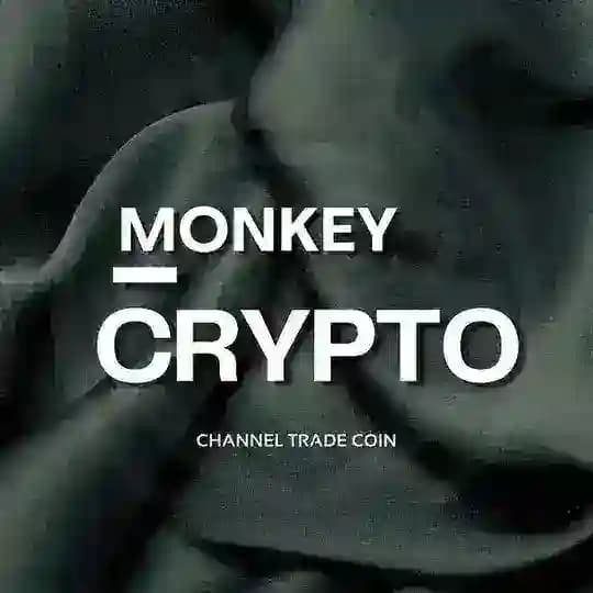 Monkey | Trade Coin